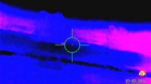 Поиск тепловизором в движении - ATN MARS HD 2-8x 384