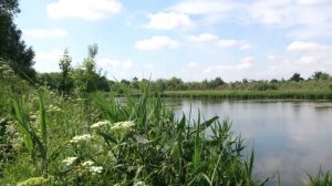 Борисовские пруды на реке Сукромка в городе Мытищи