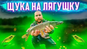 РЫБАЛКА в ЧЕЛЯБИНСКЕ на ЩУКУ