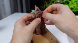 sculpting a sphynx cat/лепка кошки сфинкса из пластилина.