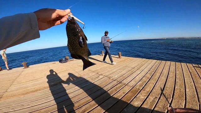 Рыбалка в Раю! Египет, Хургада, Красное море! Red Sea Fishing!!! смотреть онлайн