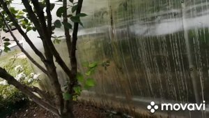 Шланг для полива к трубе ПНД 16..покупки в металлаломе выручают.. Войлочная вишня