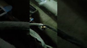 Як замінити моторчик пічки на Рено мастер-3, Опель мовано-В.