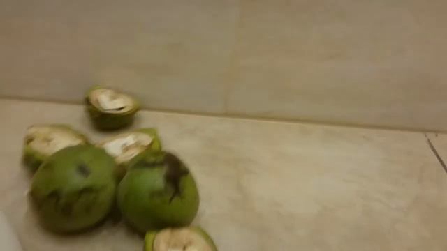 Легкий способ раскалывания грецких орехов! смотреть онлайн