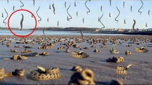 Самые Страшные Природные Явлений в Мире