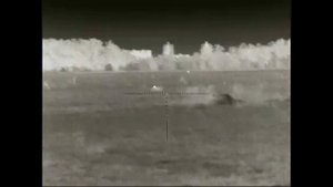 Заяц 200~ метров и человек метров 800 iray saim sch 50