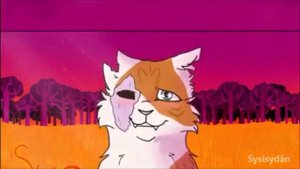 Коты Воители - Яролика и Белохвост. (Cloudtale and Brightheart) - Перезалив старого видео