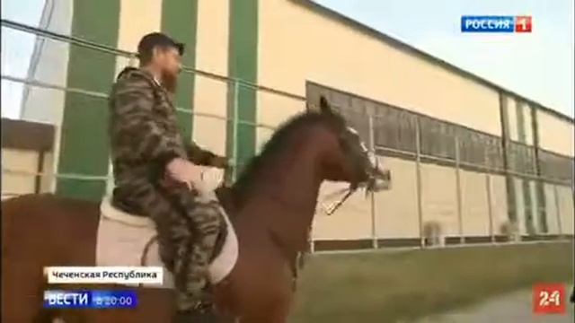 Помпео покажи Помпео... смотреть онлайн