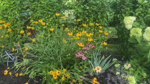 July Weekly Garden Tour🌸🌼🌺