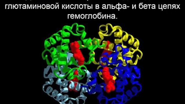 Доказательства эволюции часть I (Evidence for Evolution, Part I by cdk007) смотреть онлайн