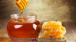Незрелый мед