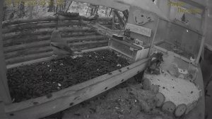 Добро пожаловать в "Кафе  Лесное"! #Relaxing