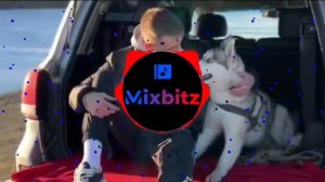 Stepagaaa - Хаски (2023)