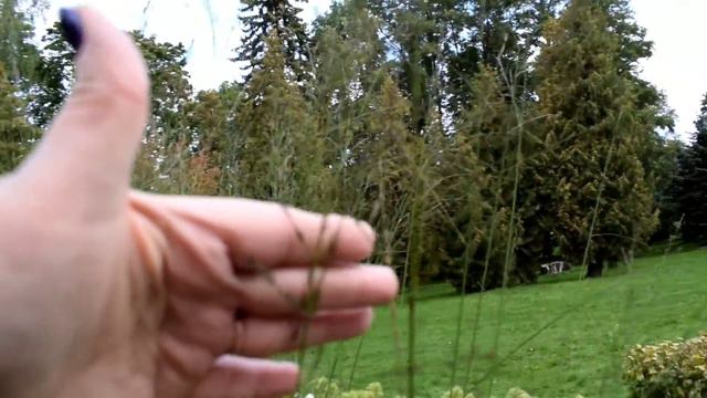 ЧТО КУПИТЬ В ТАЛЛИНЕ НА ПОДАРОК. смотреть онлайн