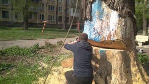 Как правильно завалить дерево#спилдеревьев #спил #спилитьдерево