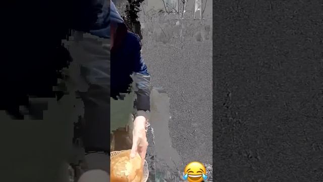 Публичность