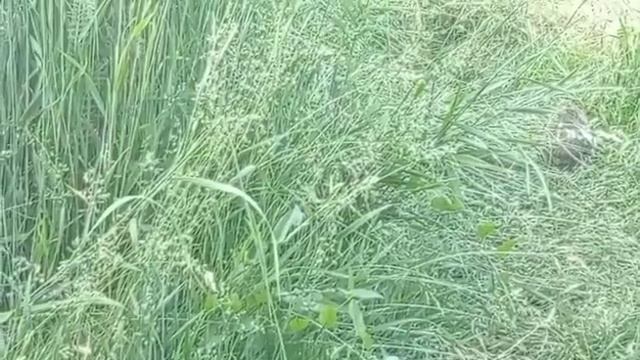 Нашла мужа через библиотеку. смотреть онлайн