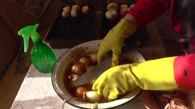 517. Мастер класс посадка лука на перо весной. Выгонка для балкона. Амурка онлайн смотреть онлайн