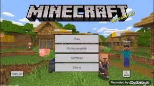 Minecraft mod apk (skins)