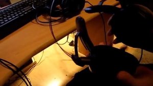 Аудиофильские наушники W1000X за 50 тыс руб