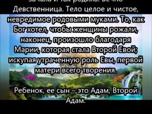 Созерцательность – новый Адам и Ева, история человечества