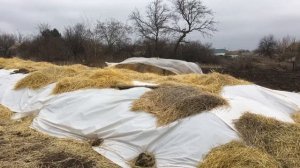 Разведение червей на улице