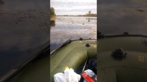 Река гумбейка