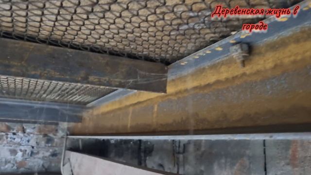 Сгнил потолок. Воняет плесенью. Ремонт кабинета, часть 1