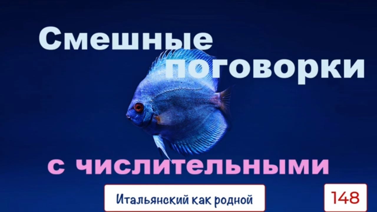 Смешные поговорки и речевые обороты с числительными в итальянском языке – 148