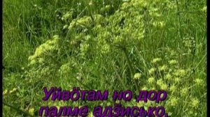 УДМУРТ КАРАОКЕ ( II ). Яратӥ