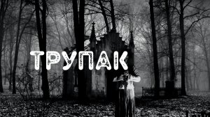 Ночью в доме странный мужик.mp4