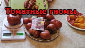 Томатные гномы Дикий фред