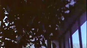 Superdyke (1975), de Barbara Hammer | FULL MOVIE