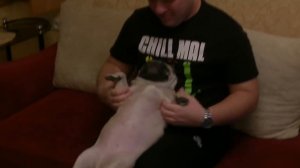 Рыболовная черная пятница 2018. Распаковка Zemex Rampage 13 ft 150 g и не только.