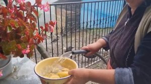 Жизнь в деревне Обед Азербайджанская Кухня Деревенская Кухня Рецепты