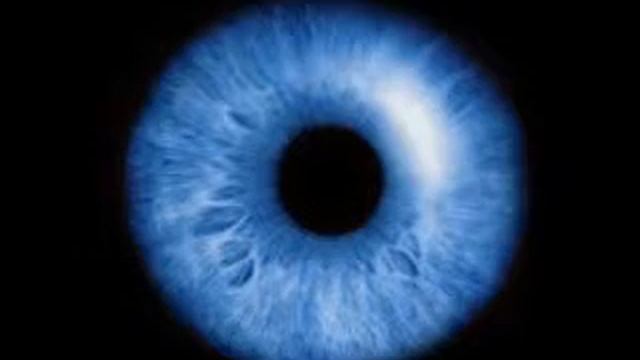 Работа форунок смотреть онлайн