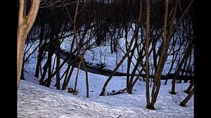 ПОСТОВОЙ ТРИПТИХ. Три стихотворения.