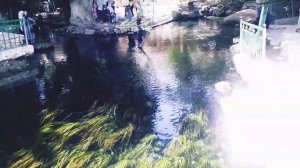 Чилучор чашма 15 06 2023