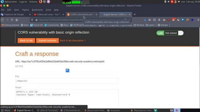 CORS vulnerability with basic origin reflection смотреть онлайн
