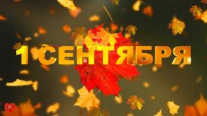 Футаж 1 сентября с осенними листьями