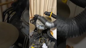 Billy bob's wonderland: the full restoration of 2021 & 2022