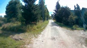 Ильинское  -  Хованское  , лето 2021 год , яблоки... Ивановская область