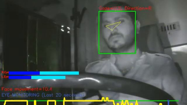 Mobile Usage | Eyedentify | Driver Monitoring & Alerting System смотреть онлайн