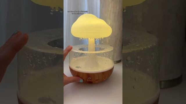 Weljoyzen RainCloud Humidifier