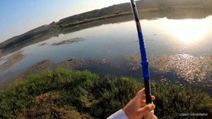 РЫБАЛКА В УЗБЕКИСТАНЕ  РЕКА СЫРДАРЬЯ. BEST FISHING MOMENTS UZBEKISTAN  #баликови #fishingvideos