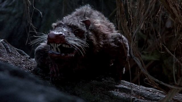 10 ЖИВОТНЫХ КОТОРЫЕ ВЫМЕРЛИ, К СЧАСТЬЮ ДЛЯ НАС! смотреть онлайн