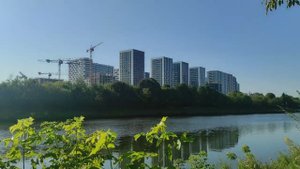 Граф в Долгопрудном имел большой авторитет ! (Бойня на дискотеке)