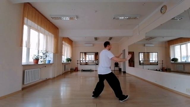 Тайцзицюань 24 формы Янши (вид со спины) | Taichi 24 Forms Yang Style