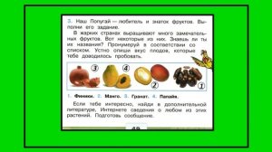 Окружающий мир 2 класс рабочая тетрадь. Дикорастущие и культурные растения
