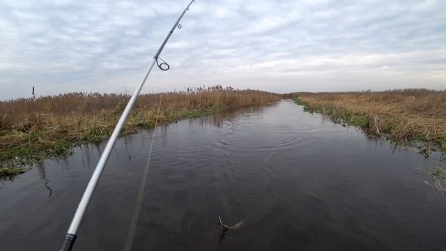 Вторая рыбалка на спиннинг 2023года (Часть #2) смотреть онлайн